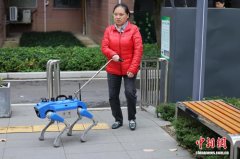 成都“赛博小狗”将上岗 智能导盲犬